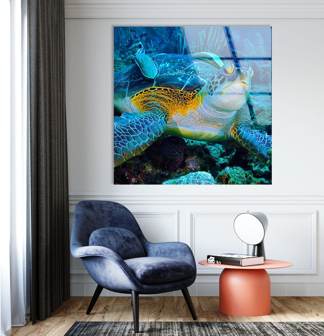 Graceful Sea Turtle Glass Wall Art large glass photo prints, glass wall photos