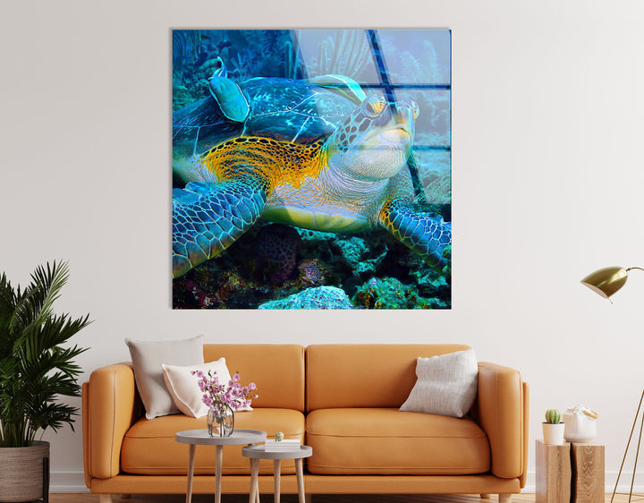 Graceful Sea Turtle Glass Wall Art print on glass, glass printed photos