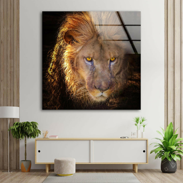 Angry Lion Glass Wall Art print on glass, glass printed photos