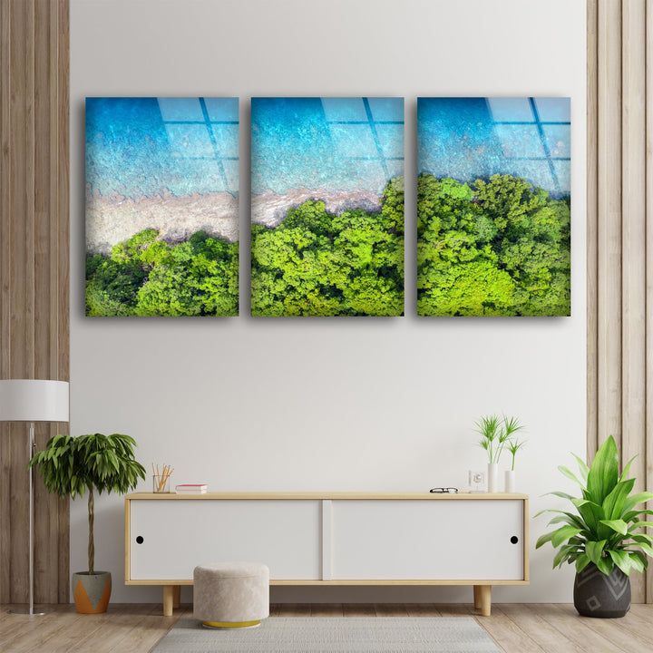 Tropical Beach With Sea Bird's Eye View Glass Wall Art, glass photo prints, glass picture prints