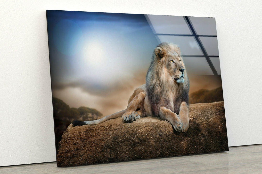 King Lion Laying Glass Wall Art picture on glass wall art, photos printed on glass