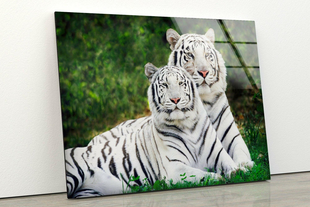 White Tigers Glass Wall Art glass pictures for Wall, glass prints wall art