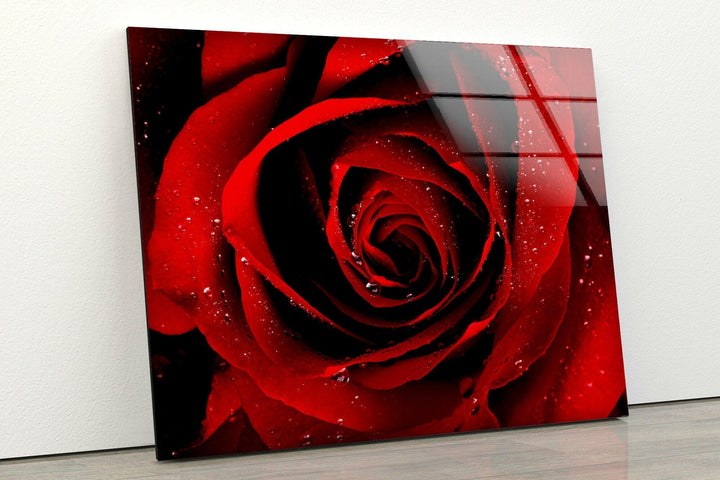 Red Rose Glass Wall Art, custom glass pictures, glass art prints