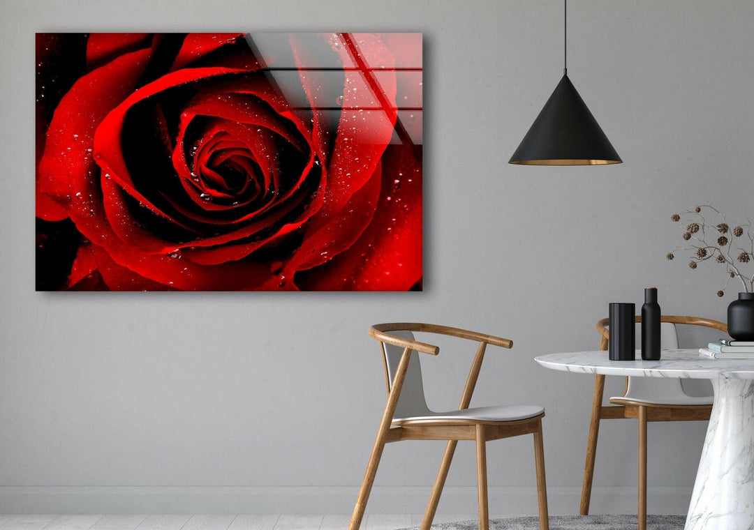 Red Rose Glass Wall Art, photo print on glass, prints on glass wall art