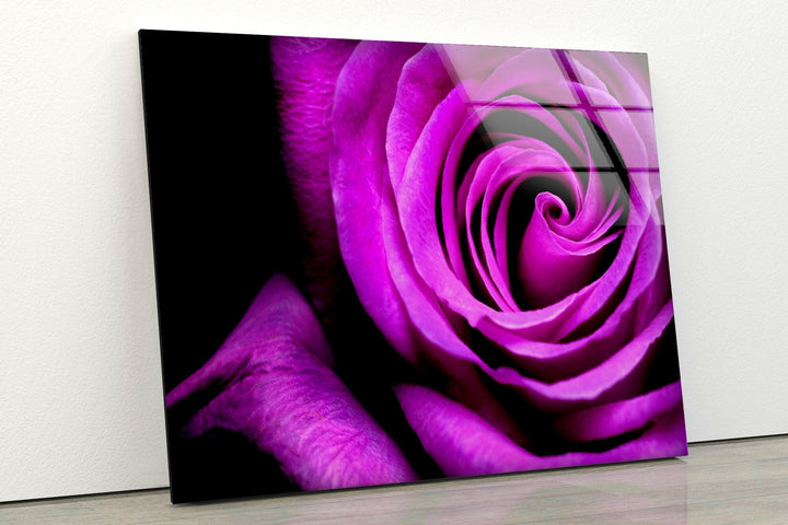 Big Purple Rose Glass Wall Art, custom glass pictures, glass art prints
