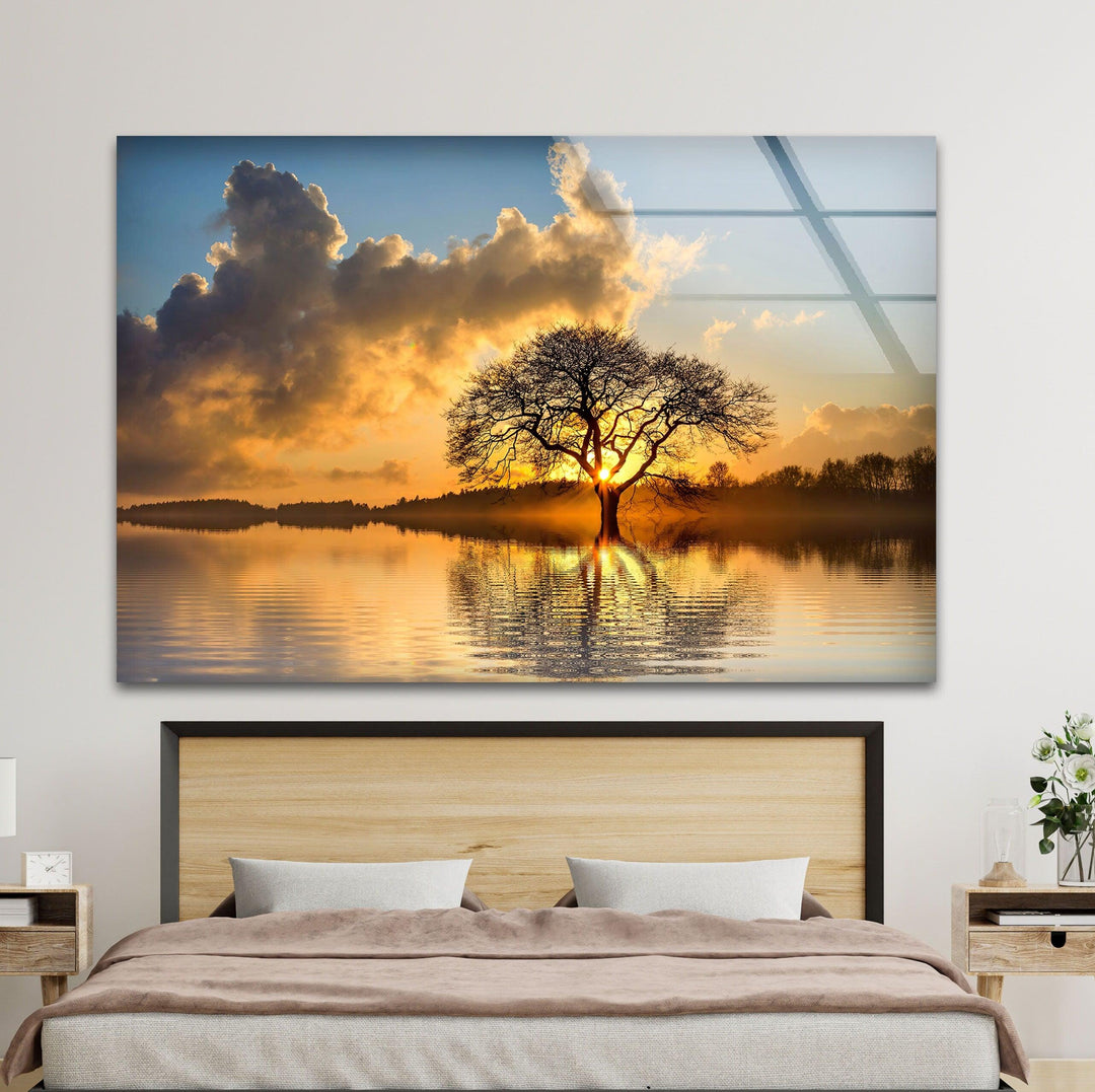 Lonely Tree At Sunset Glass Wall Art glass photo prints, glass picture prints