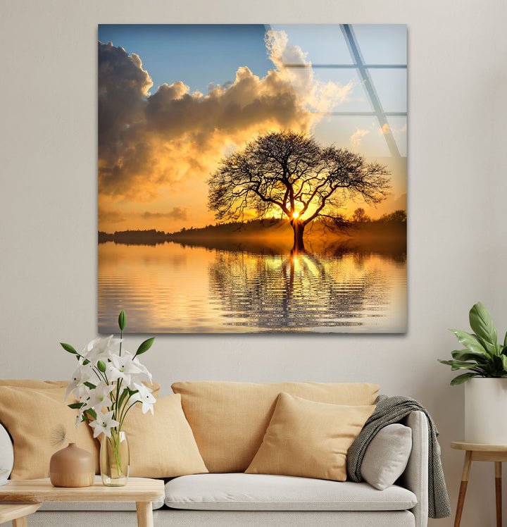 Lonely Tree At Sunset Glass Wall Art print on glass, glass printed photos