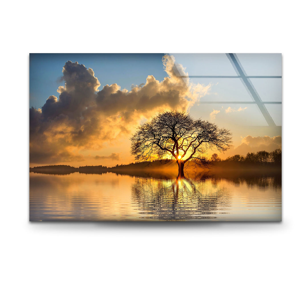 Lonely Tree At Sunset Glass Wall Art glass wall decor, glass wall art decor