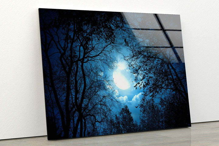 Mysterious Night Forest Glass Wall Art Glass Printing Wall Art, Print photos on glass