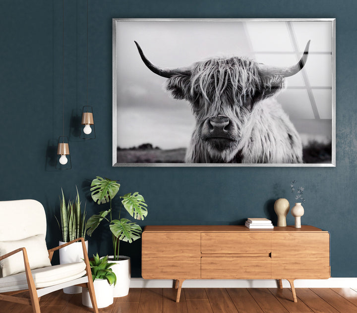 Scottish Cow Glass Wall Art picture on glass wall art, photos printed on glass