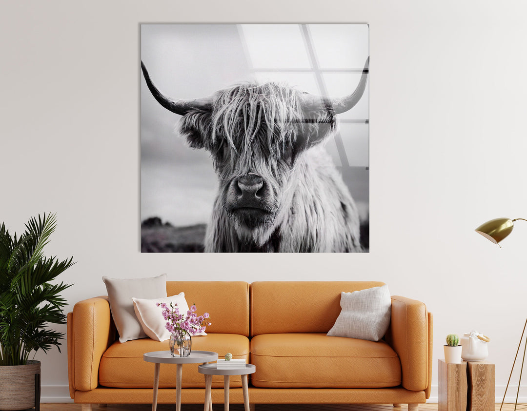 Scottish Cow Glass Wall Art glass pictures for Wall, glass prints wall art