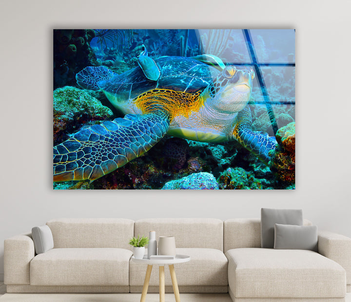 Graceful Sea Turtle Glass Wall Art art glass wall art, glass wall art pictures