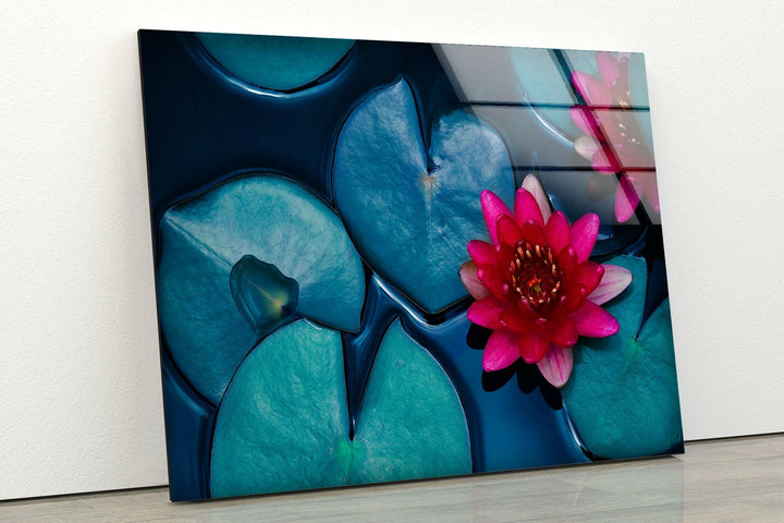 Red Lotus Water Lily Glass Wall Art, glass photo prints, glass picture prints
