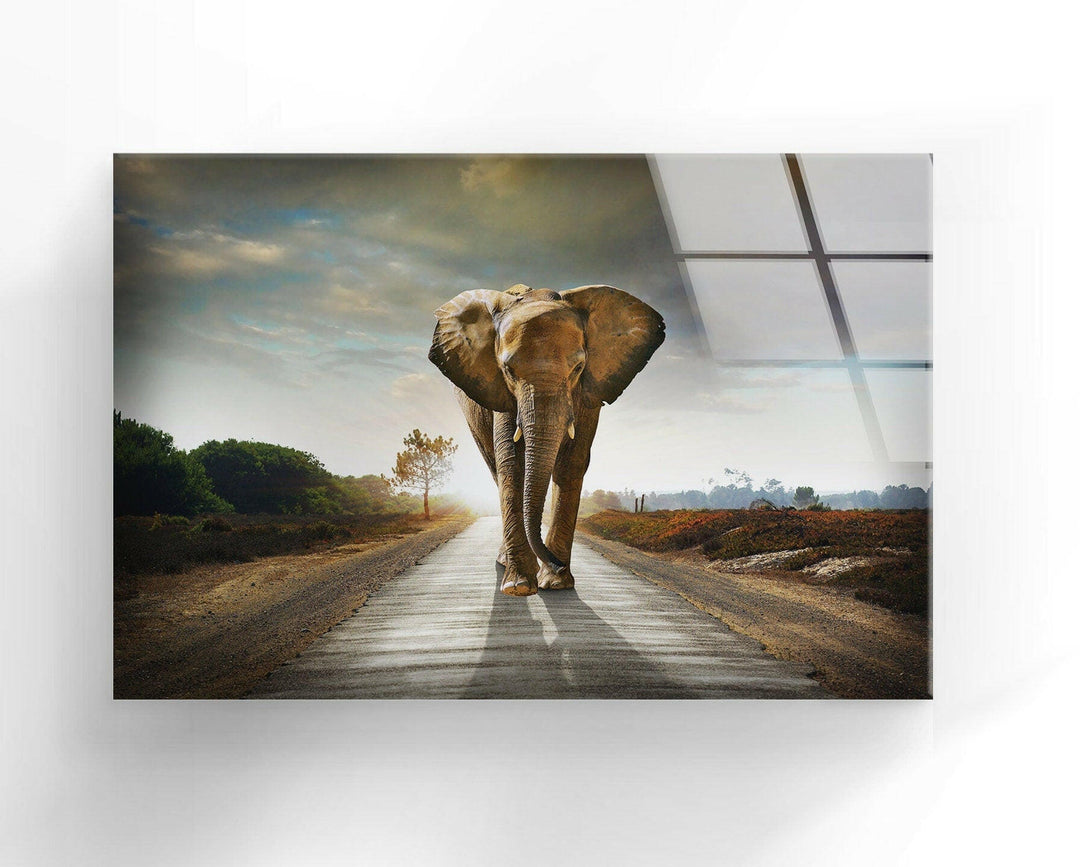 Vivid Elephant Art Glass Wall Art glass image printing, glass prints from photos