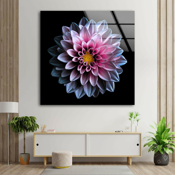 Purple Flower On Black Glass Wall Art, Glass Printing Wall Art, Print photos on glass
