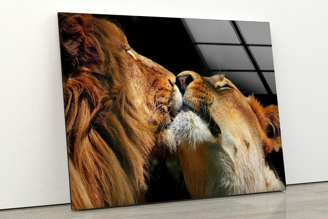 Couple Lions Glass Wall Art custom glass pictures, glass art prints