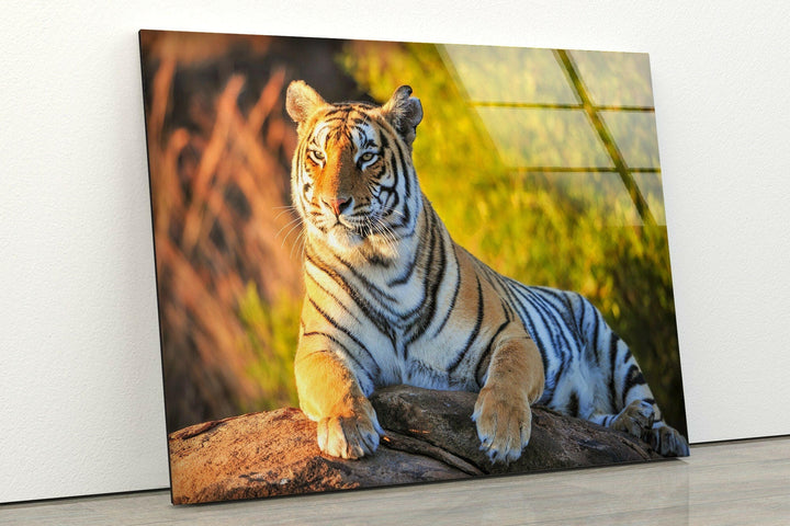 Tiger on The Rock Glass Wall Art glass art painting, glass art for the Wall