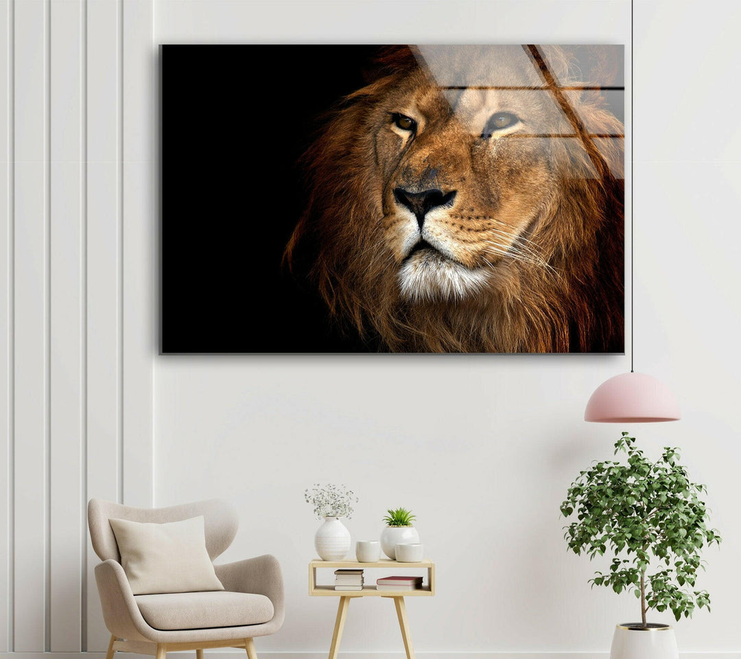 Asiatic Lion Glass Wall Art Glass Printing Wall Art, Print photos on glass