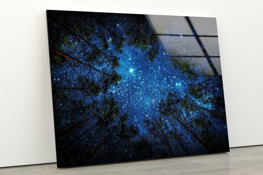 Stars Through The Trees Glass Wall Art art glass wall art, glass wall art pictures