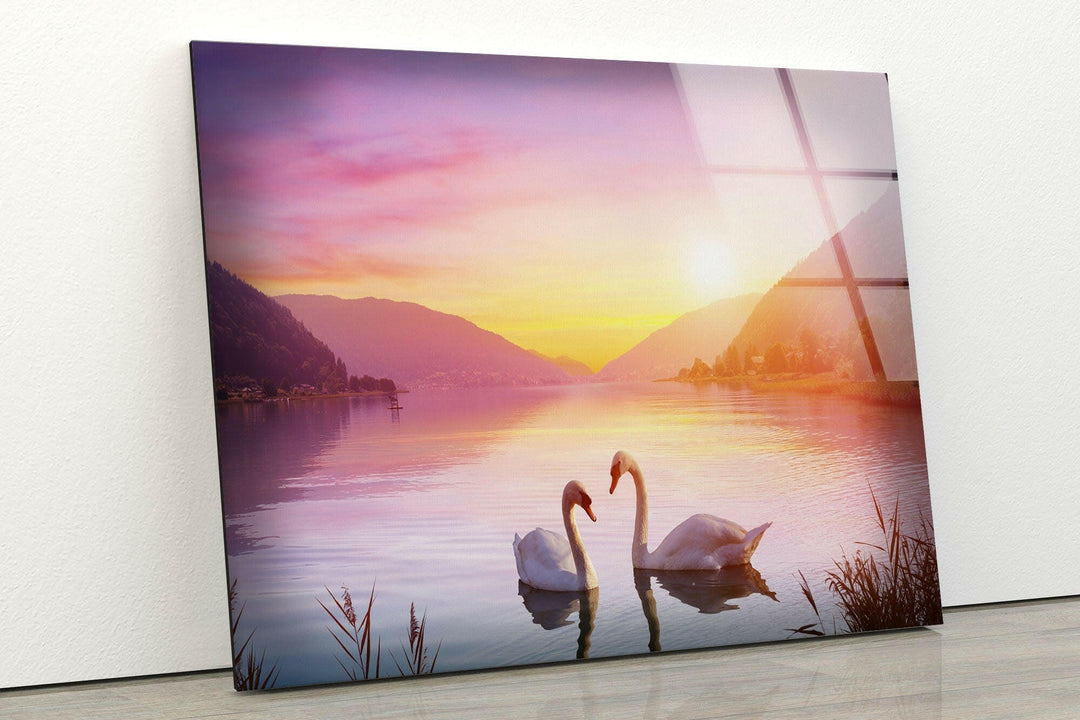 Swan Sunset Glass Wall Art print picture on glass,Tempered Glass Wall Art