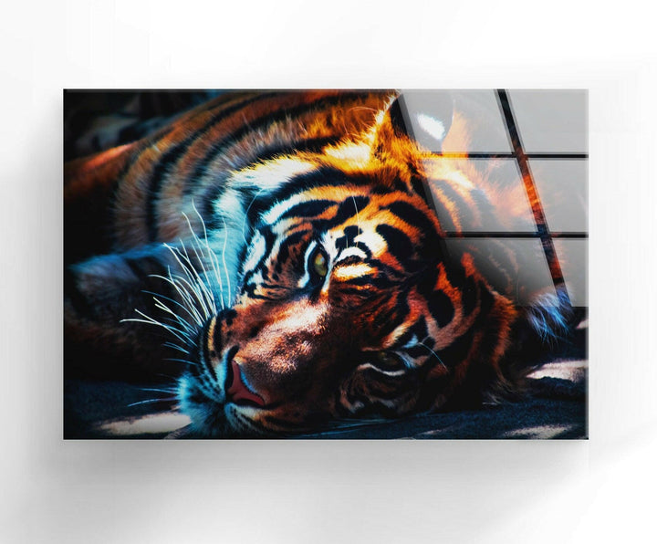 Dark Tiger Glass Wall Art glass pictures for Wall, glass prints wall art