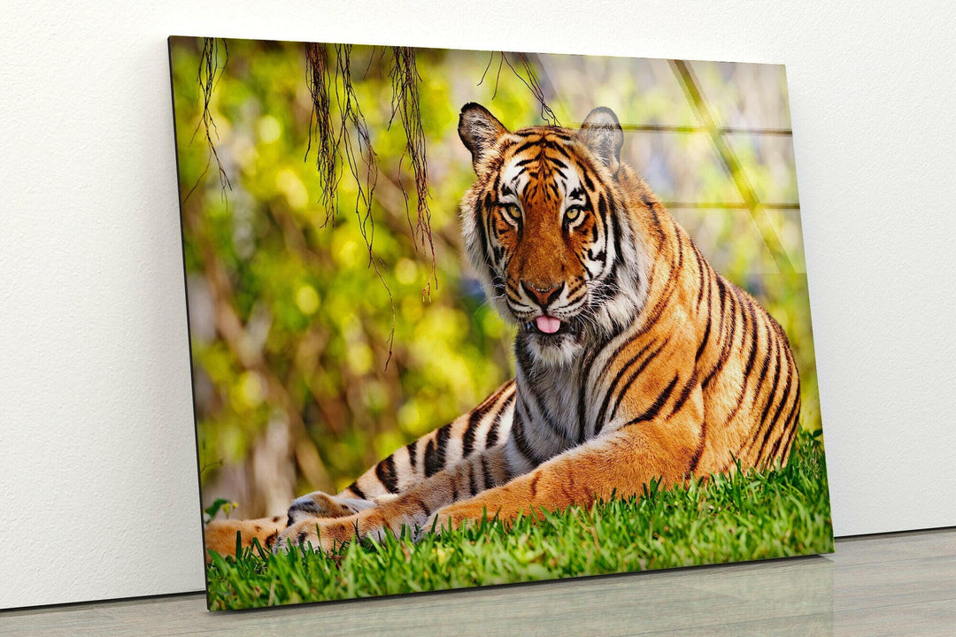 A Tiger on The Grass Glass Wall Art art glass wall art, glass wall art pictures