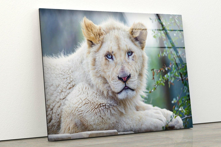 White Lion Portrait Glass Wall Art photo print on glass, prints on glass wall art