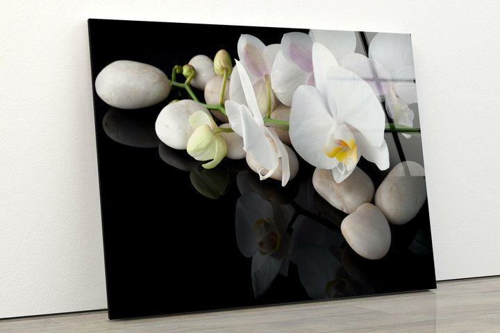 White Orchid Flower Glass Wall Art, glass photo prints, glass picture prints