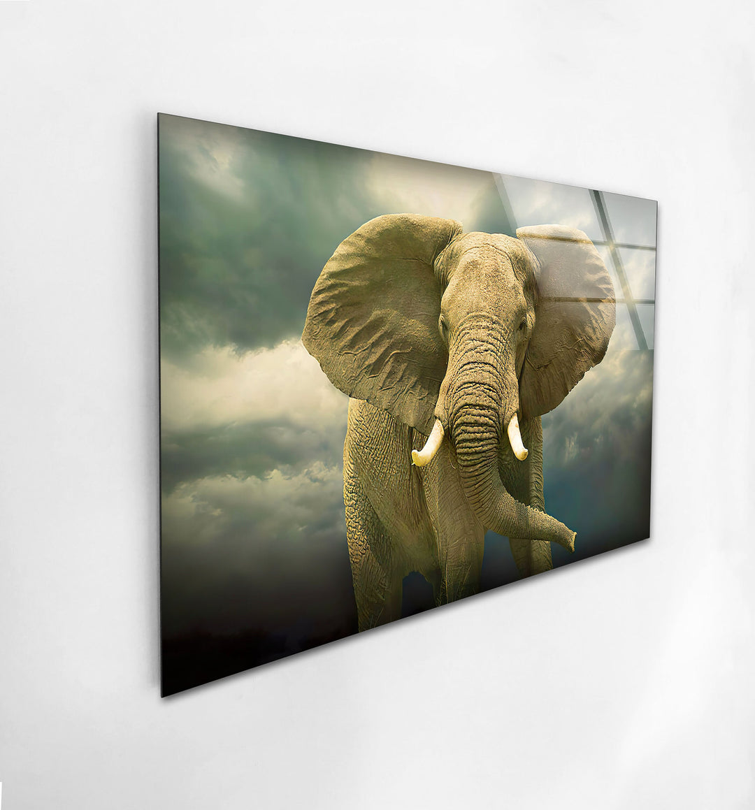 Savannah Elephant Glass Wall Art glass art painting, glass art for the Wall