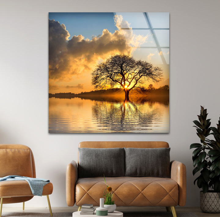 Lonely Tree At Sunset Glass Wall Art Glass Printing Wall Art, Print photos on glass