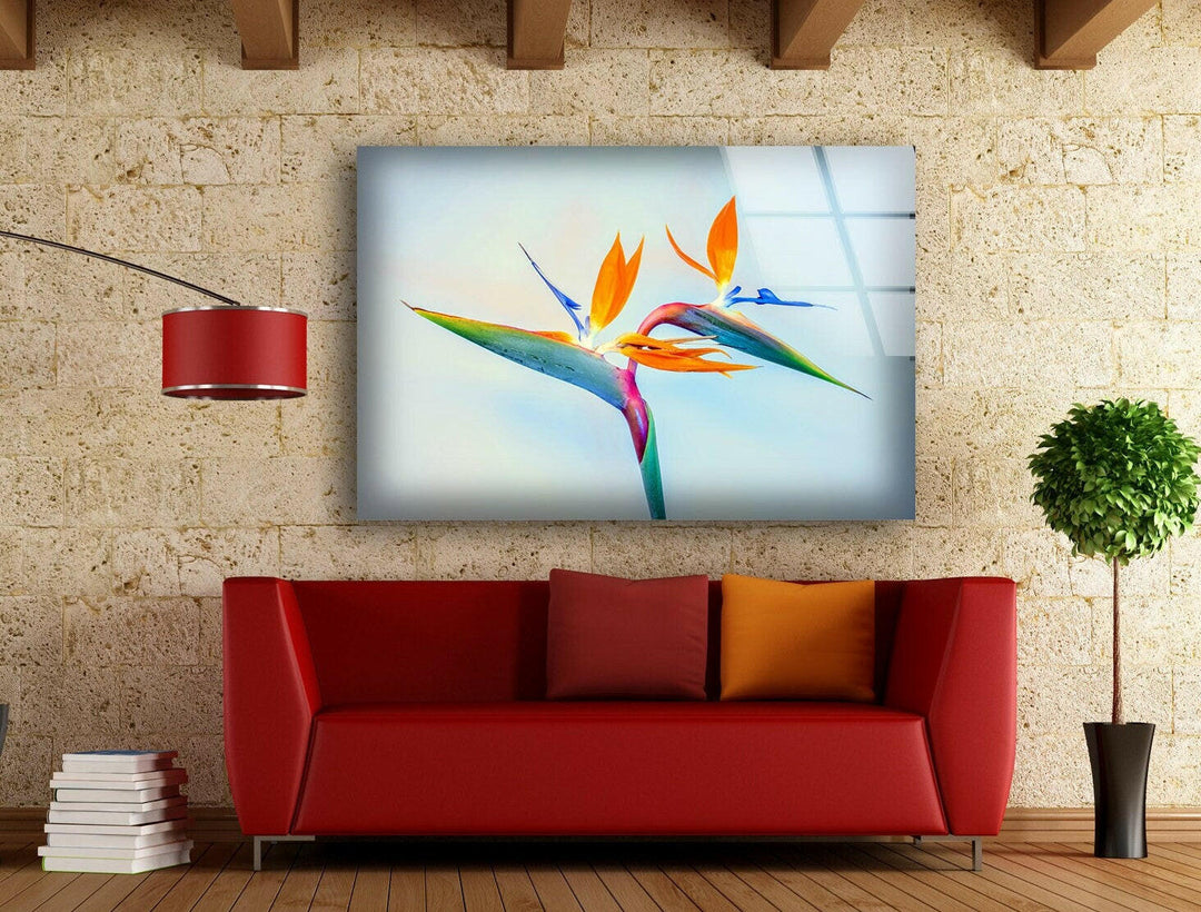 Strelitzia Flower Glass Wall Art, picture on glass wall art, photos printed on glass