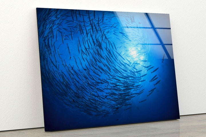 Under Ocean Fishes Glass Wall Art glass pictures for Wall, glass prints wall art