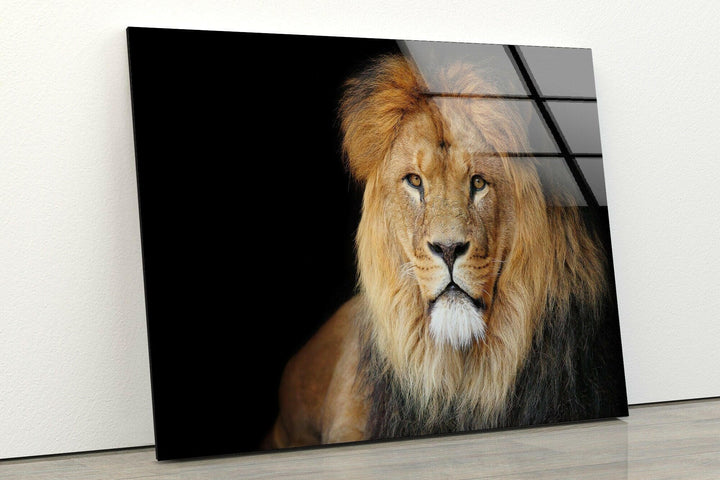 Old Lion Glass Wall Art custom glass pictures, glass art prints