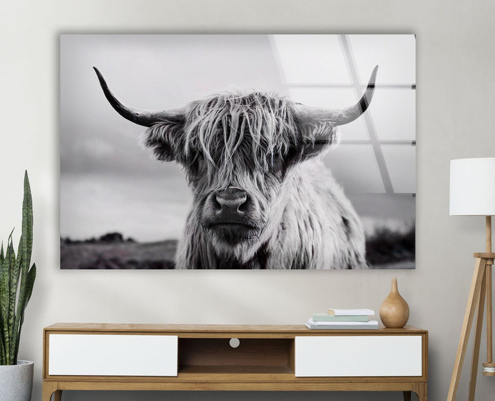 Scottish Cow Glass Wall Art Glass Printing Wall Art, Print photos on glass