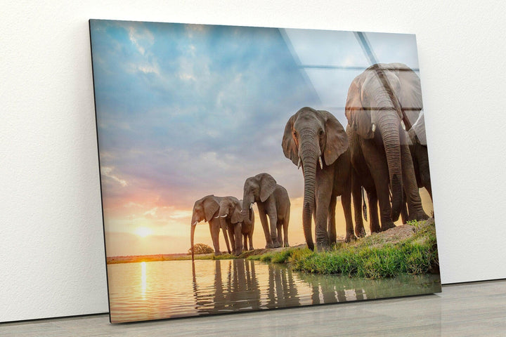 Safari Elephant Group Glass Wall Art custom glass photo prints, large glass prints