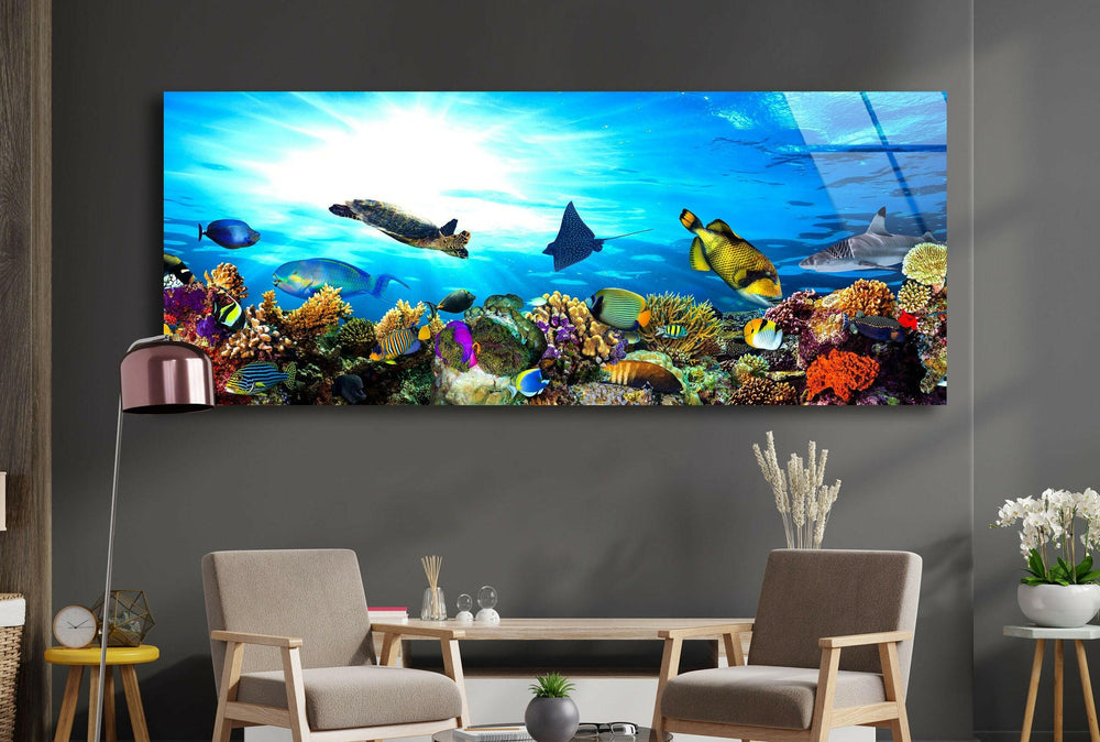 Ocean Life Glass Wall Art, print on glass, glass printed photos