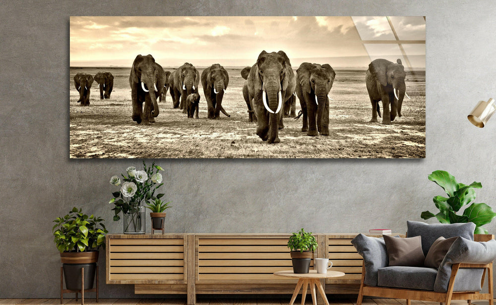 Black&White African Elephants Glass Wall Art, large glass photo prints, glass wall photos