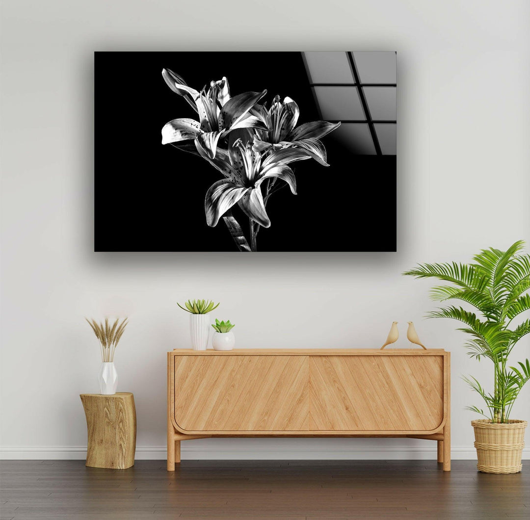 Black Xray Lily Flower Glass Wall Art, glass photo prints, glass picture prints
