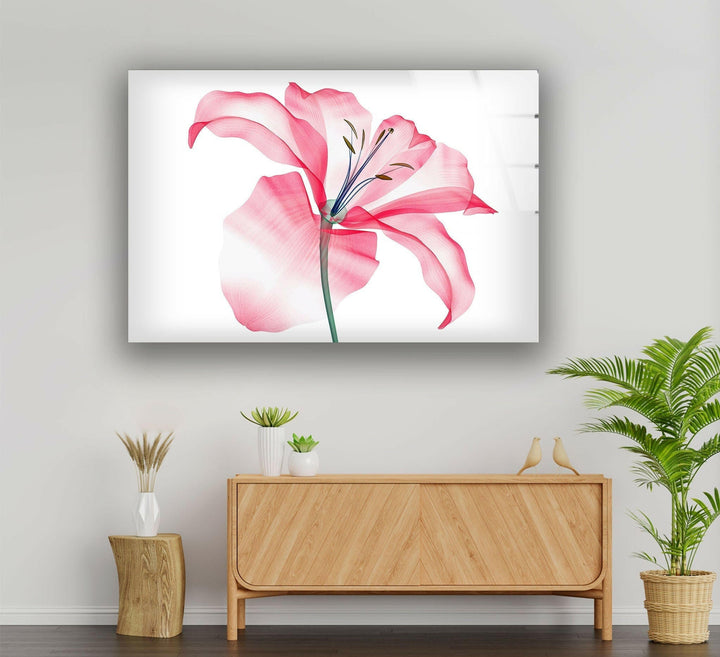 Watercolour Pink Flower Glass Wall Art, large glass photo prints, glass wall photos