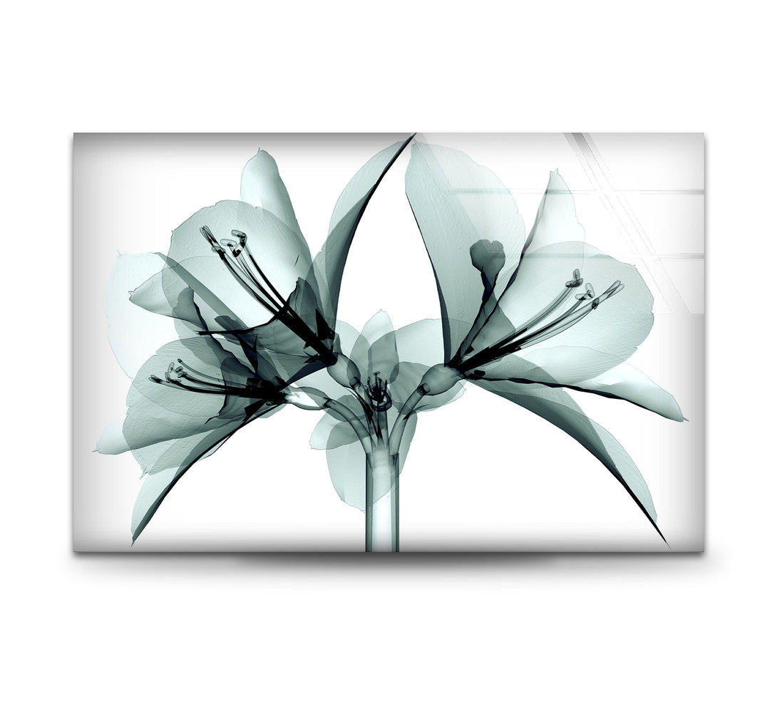 xray Flower Tempered Glass Wall Art - MyPhotoStation Decorate your living room with stunning Glass Wall Art. Our collection includes tempered glass wall art, large glass artwork, and modern designs. Perfect for adding color and style to any space. Enjoy secure packaging, free shipping, and vibrant prints that last.