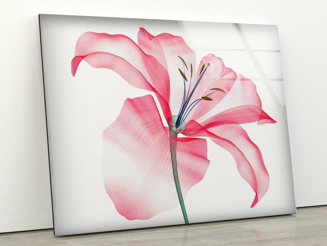 Watercolour Pink Flower Glass Wall Art, glass pictures for Wall, glass prints wall art