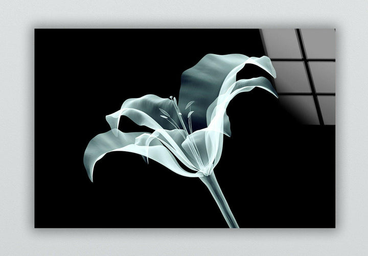 Xray Flowers Glass Wall Art, Glass Printing Wall Art, Print photos on glass