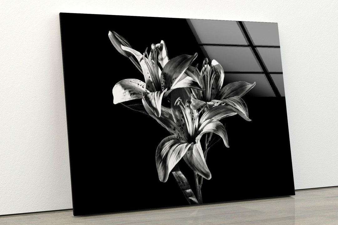 Black Xray Lily Flower Glass Wall Art, photo print on glass, prints on glass wall art
