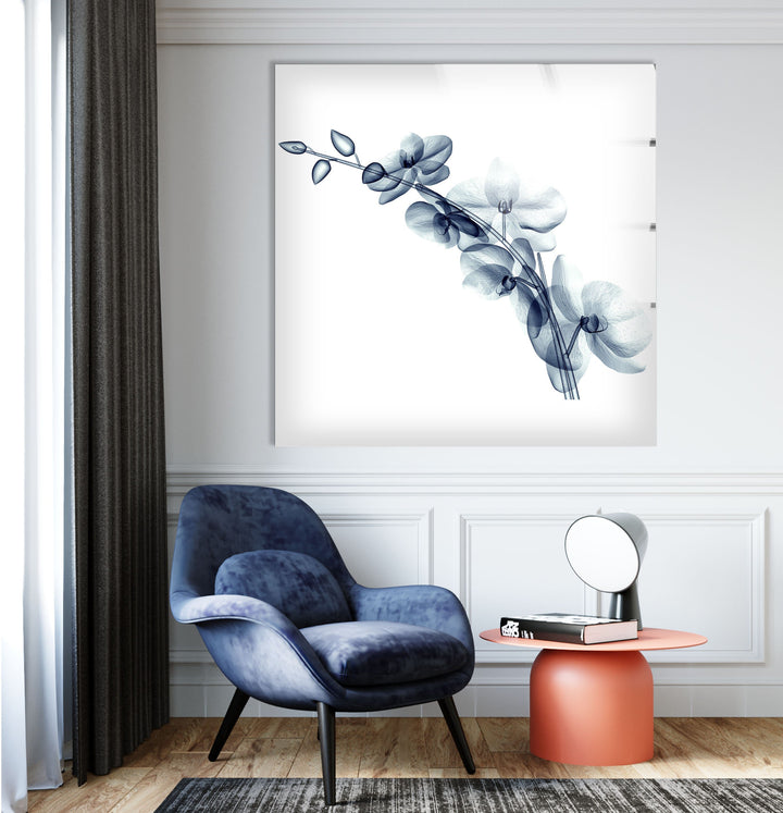 X-ray Blue Orchide Glass Wall Art, glass pictures for Wall, glass prints wall art