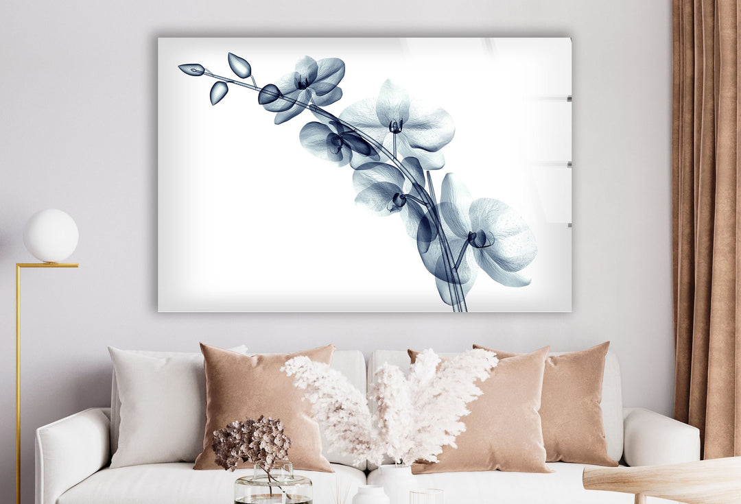 X-ray Blue Orchide Glass Wall Art, glass photo prints, glass picture prints