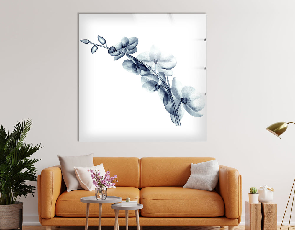 X-ray Blue Orchide Glass Wall Art, picture on glass wall art, photos printed on glass