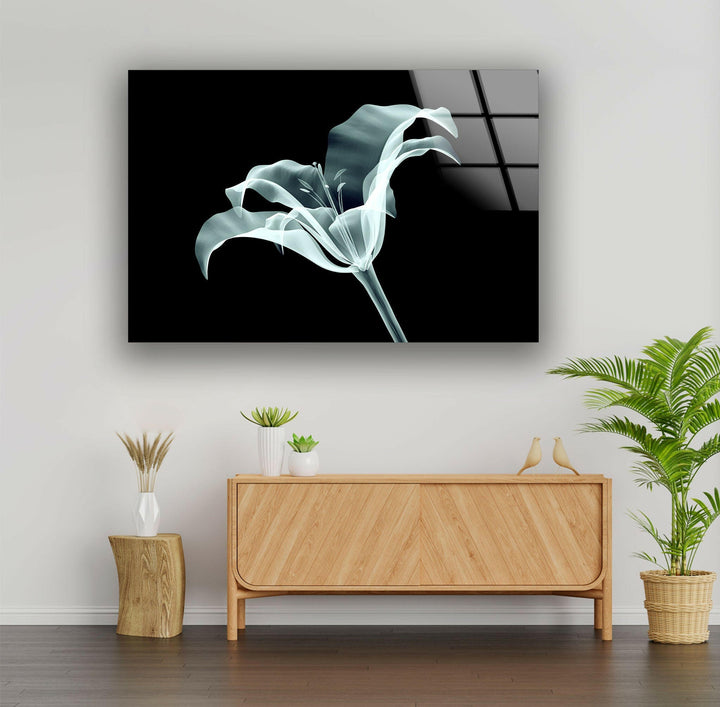 Xray Flowers Glass Wall Art, art glass wall art, glass wall art pictures