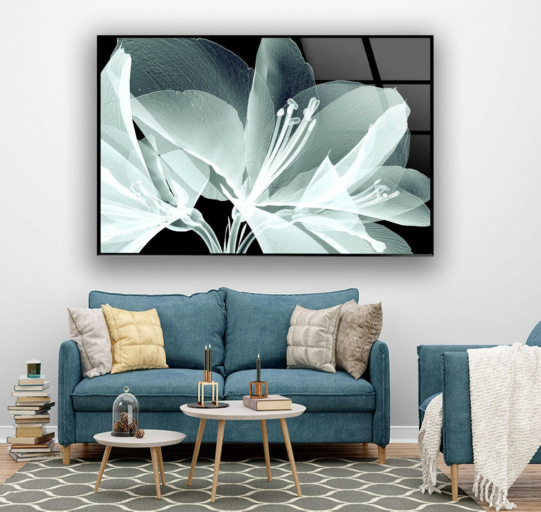 X-Ray Close Up Amaryllis Glass Wall Art, glass photo prints, glass picture prints