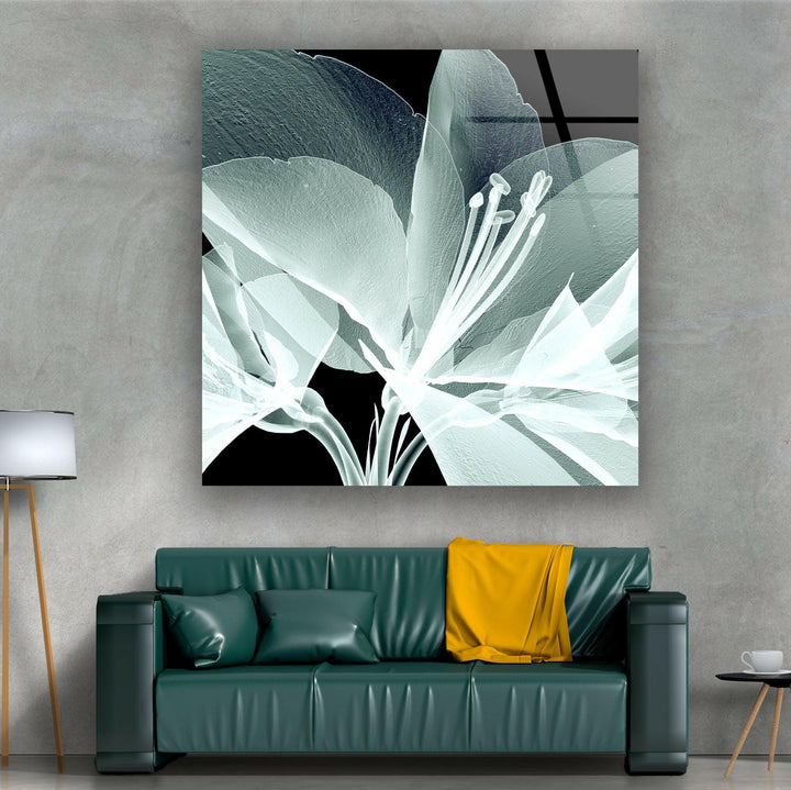 X-Ray Close Up Amaryllis Glass Wall Art, Glass Printing Wall Art, Print photos on glass