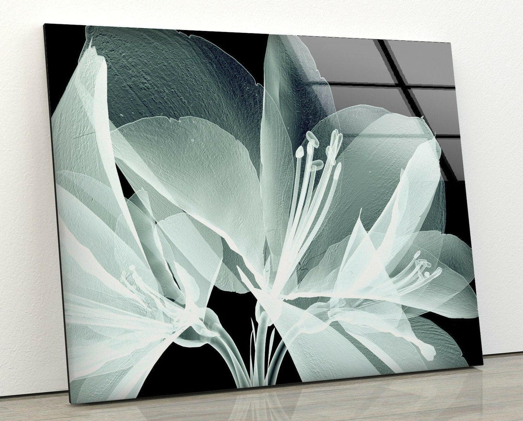 X-Ray Close Up Amaryllis Glass Wall Art, stained glass wall art, stained glass wall decor